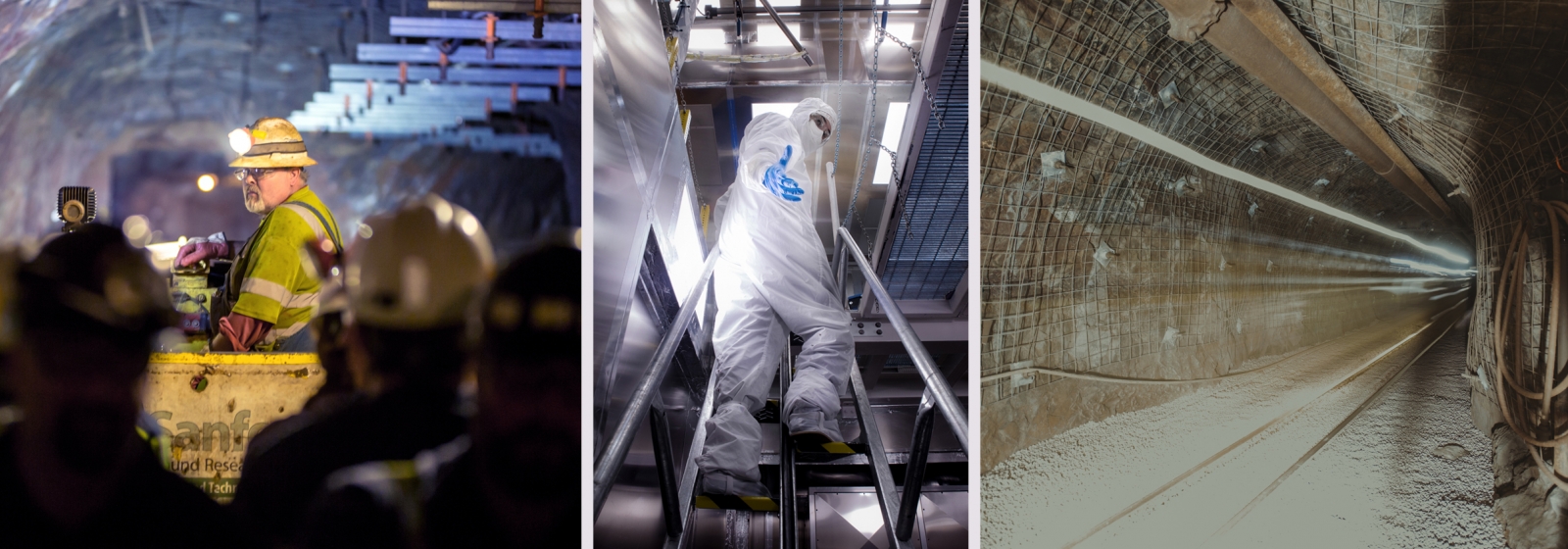 SURF 2018 Photowalk finalists
